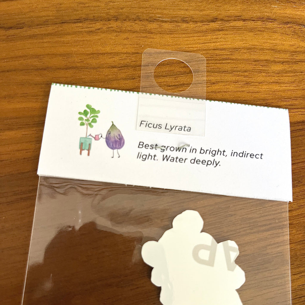 A small white plant care card labeled Ficus Lyrata with a hanging loop, placed on a wooden surface above a clear plastic bag containing a white leaf-shaped item.