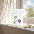 Illustration of a purple fig and green leaves on a white surface near a window.